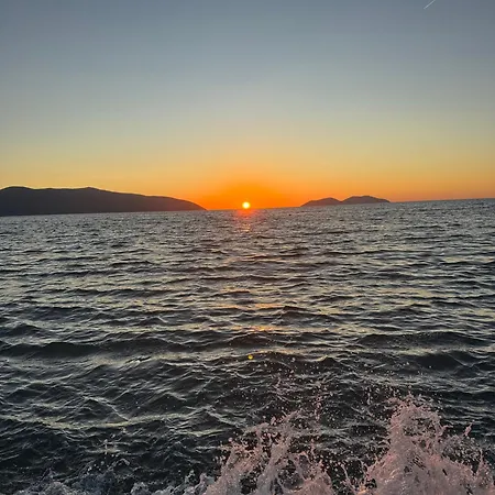 Sweet * Vlora